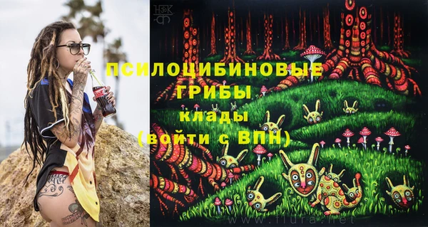 прущие грибы Арсеньев