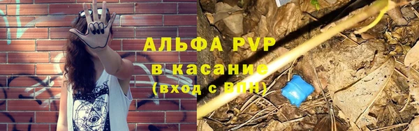 прущие грибы Арсеньев