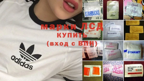 прущие грибы Арсеньев