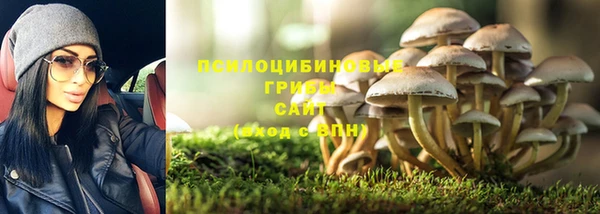 прущие грибы Арсеньев